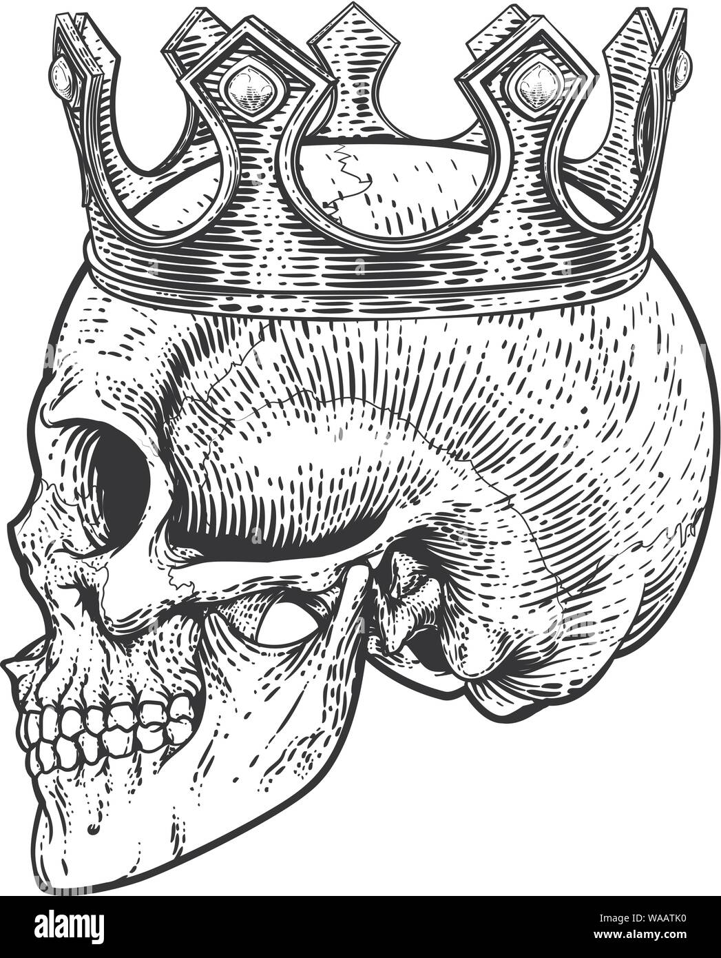 Cranio corona re umano scheletro reale Illustrazione Vettoriale