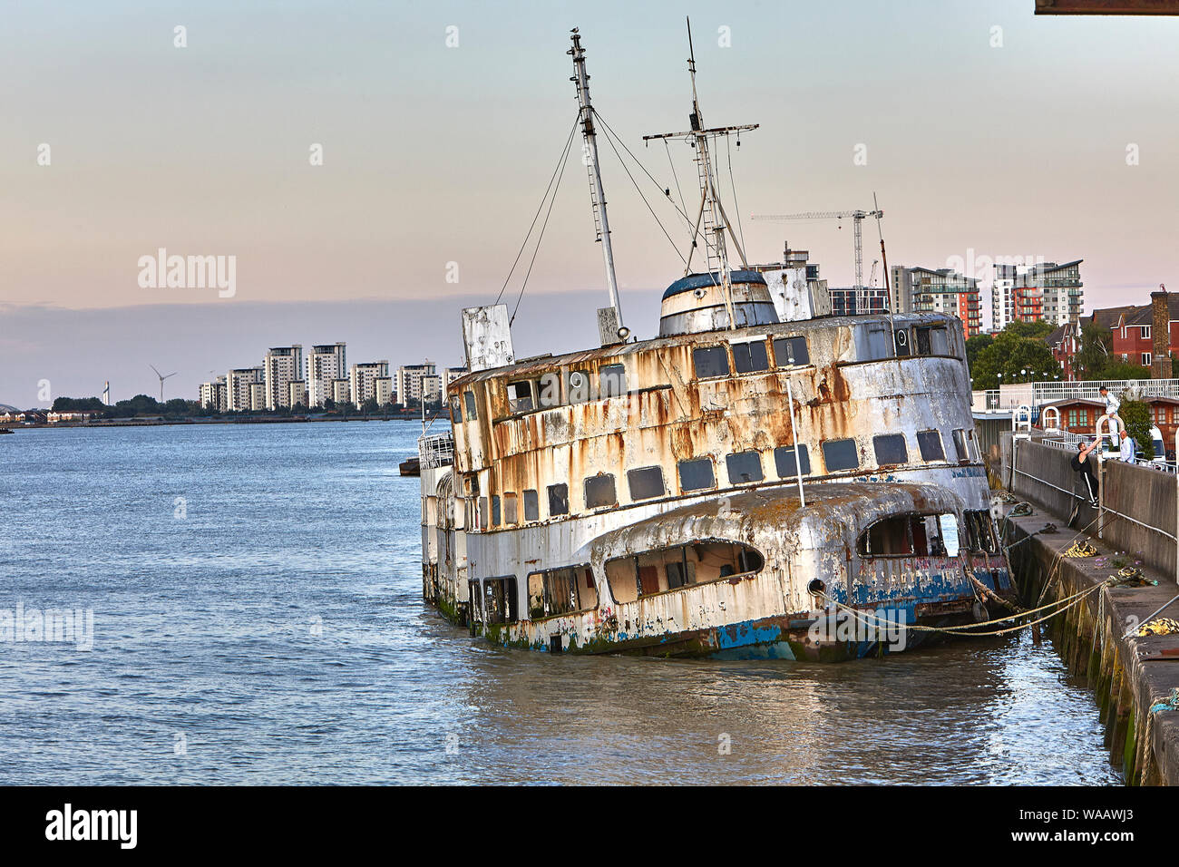 La MV Royal Iris è una doppia vite diesel-elettrico, ex Mersey Ferry. Il recipiente è stato costruito da William Denny & Brothers. Foto Stock