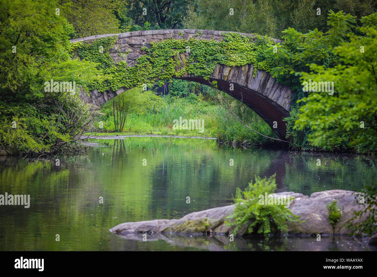 Vista del lago di stagno e Gapstow Bridge nel Central Park di New York negli Stati Uniti Foto Stock