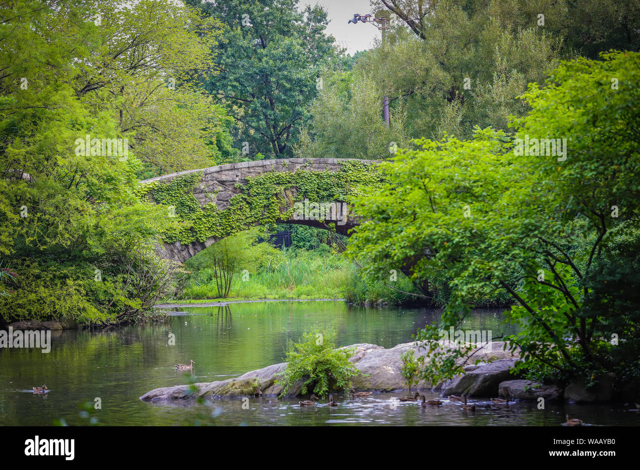 Vista del lago di stagno e Gapstow Bridge nel Central Park di New York negli Stati Uniti Foto Stock