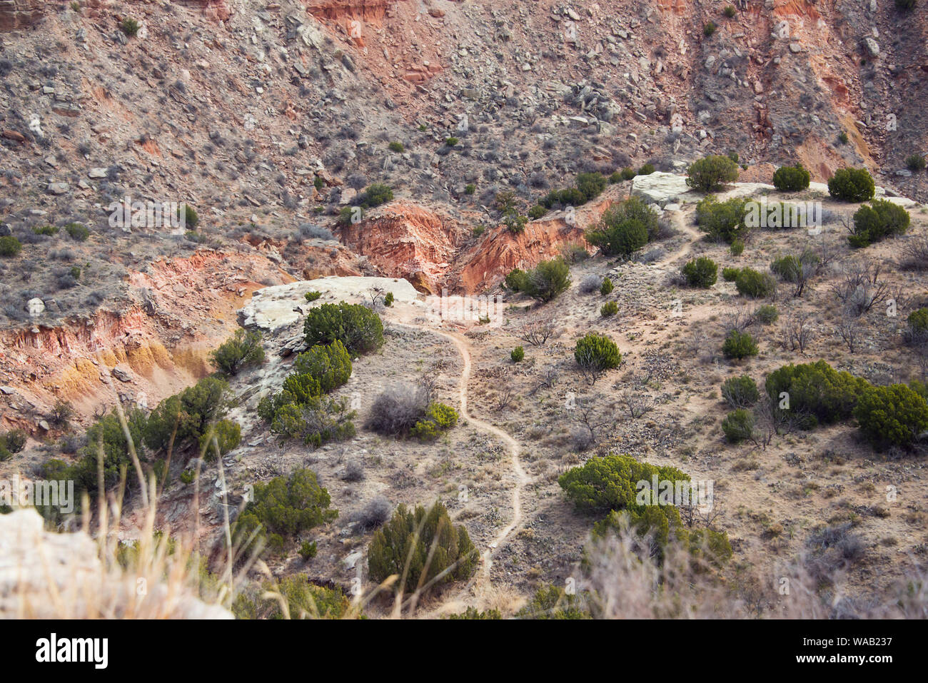 Piccolo percorso a piedi a Palo Duro Canyon , Texas , STATI UNITI Foto Stock