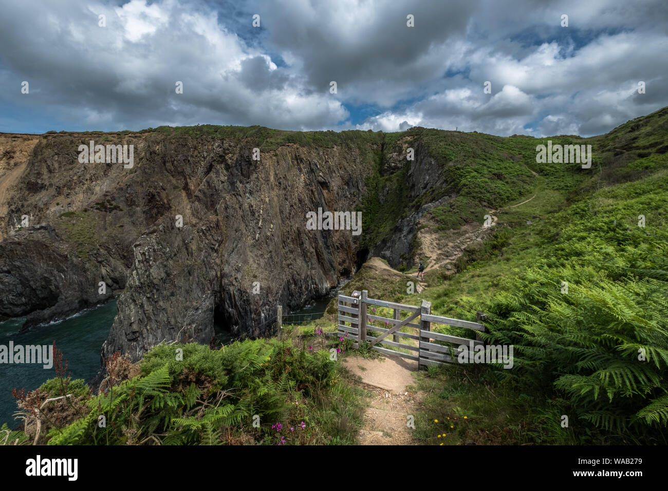 Vedute costiere, scogliere, lussureggianti felci di verde e di un cancello in legno su Il Pembrokeshire Coast Path, Galles Foto Stock