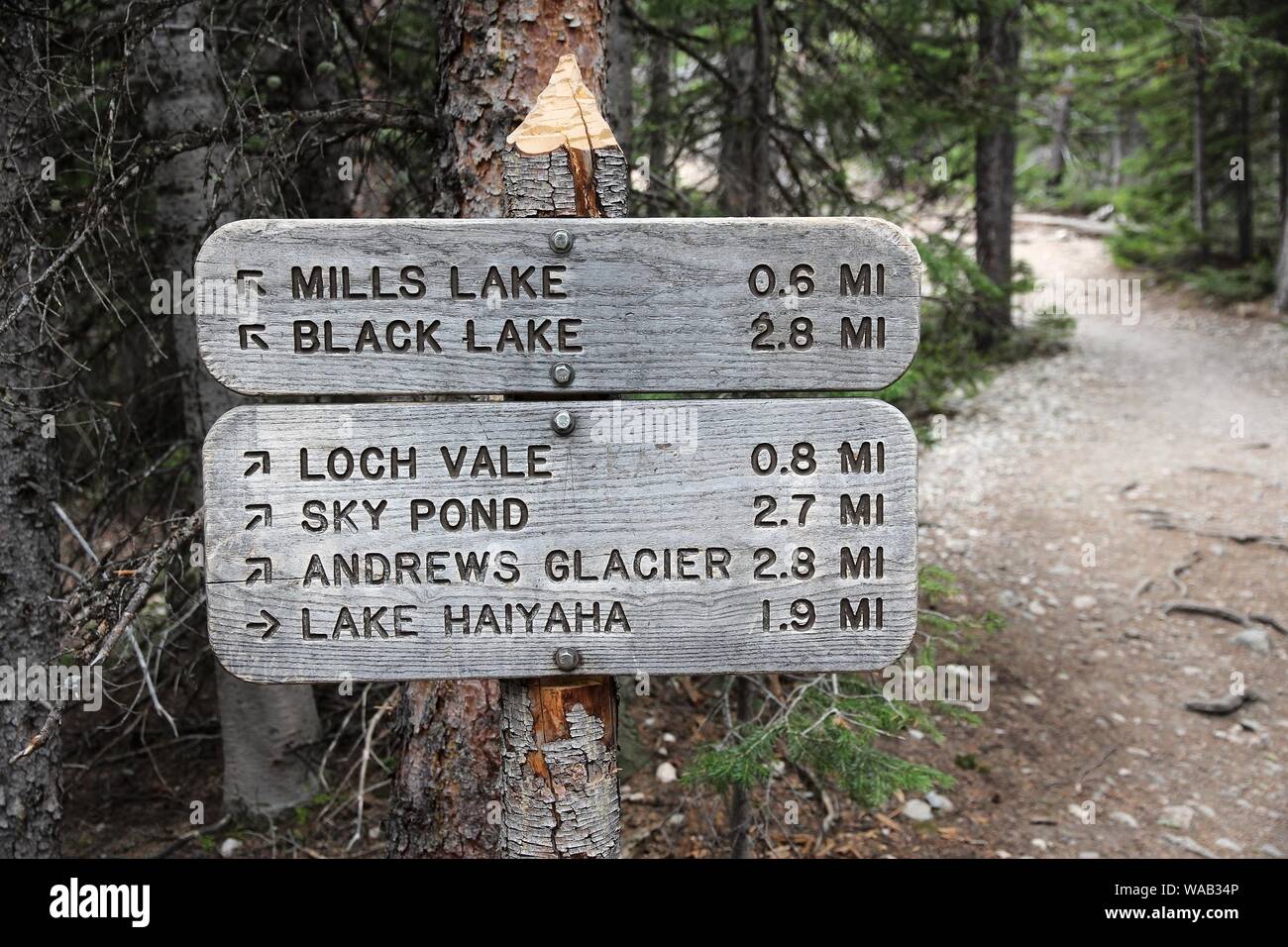 Parco Nazionale delle Montagne Rocciose in Colorado, Stati Uniti d'America. Sentiero indicazioni per mulini Lago, Lago Nero, Andrews Glacier e il Lago Haiyaha. Foto Stock