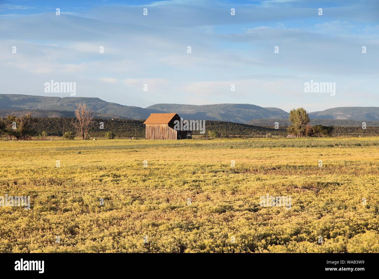 Colorado paesaggio rurale negli Stati Uniti. San Miguel County nella luce del tramonto. Foto Stock