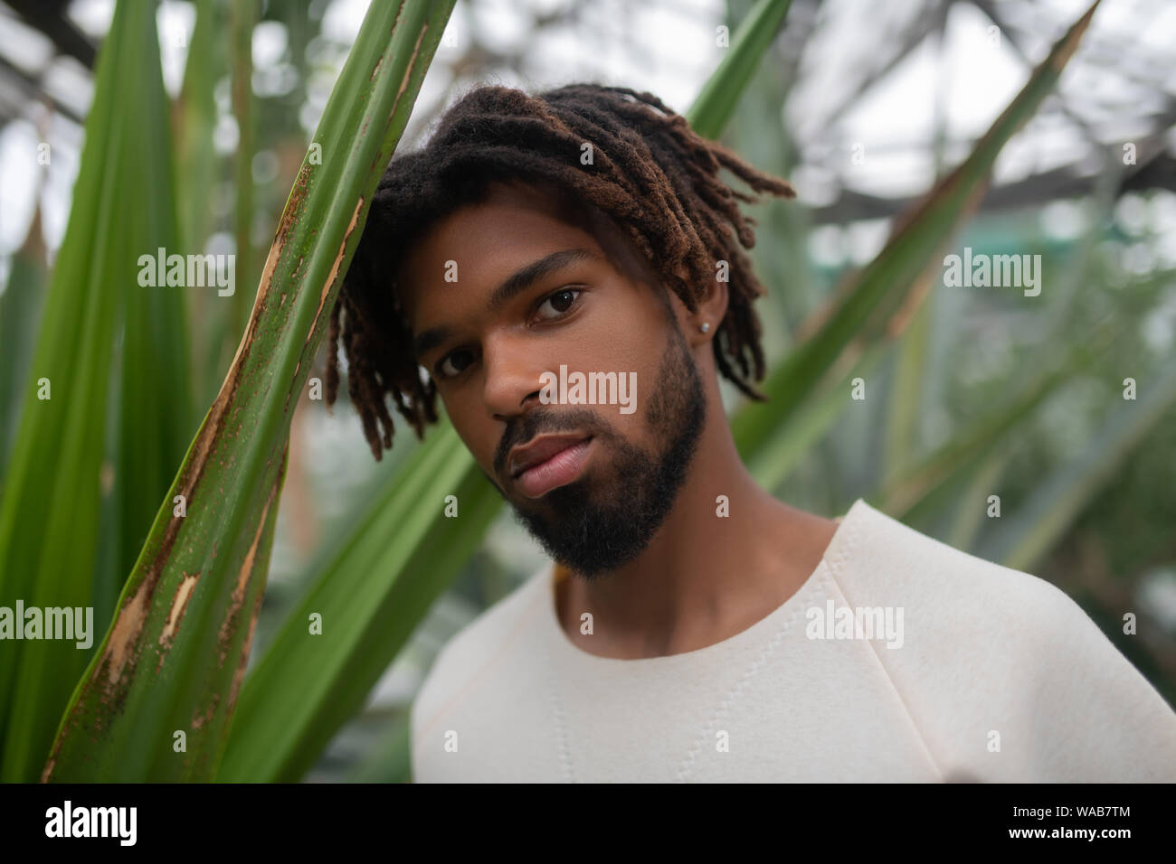 Bel giovane con dreadlocks in piedi vicino a Palm tree Foto Stock