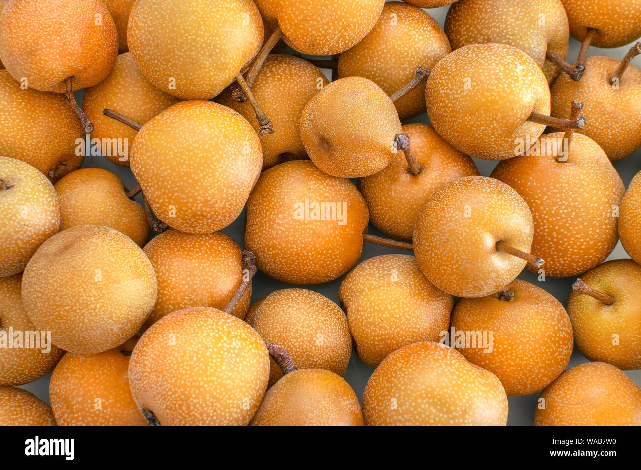 Sfondo pieno di freschi o Nashi Asian pere. Vista aerea di deliziosi piatti e prodotti organici frutti, full frame. Foto Stock