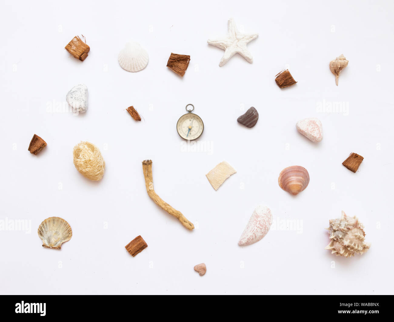 Una collezione di conchiglie e di cose dal mare Foto Stock