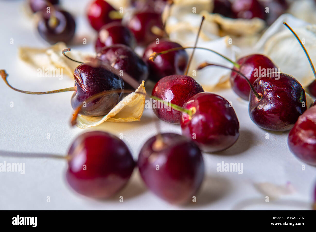 Arrostire il frutto della ciliegia rossa con muffa o funghi su uno sfondo  bianco isolato Foto stock - Alamy