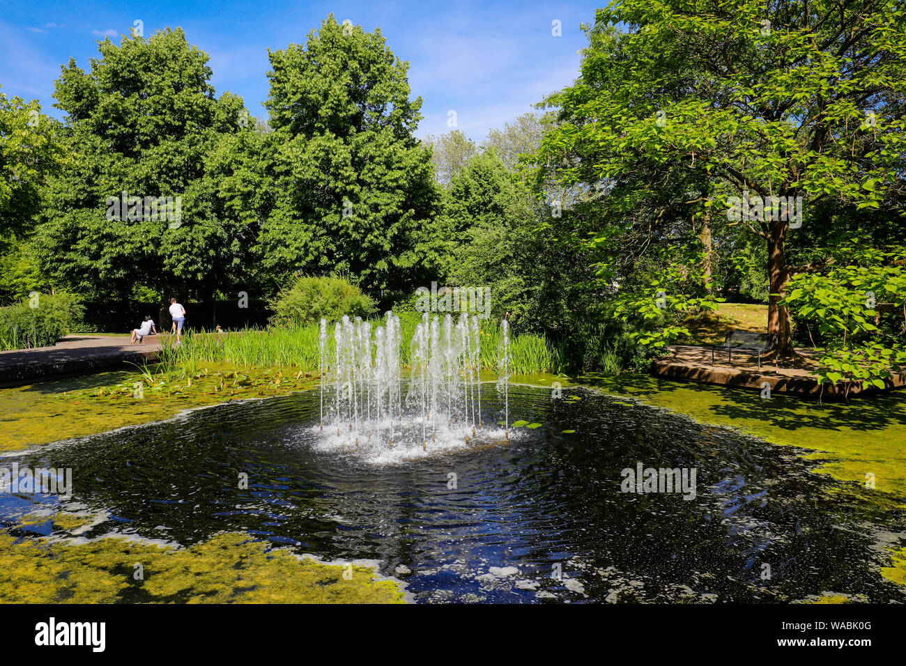 Muelheim an der Ruhr, zona della Ruhr, Renania settentrionale-Vestfalia, Germania - lago con fontana nel parco MŸGa, Muelheim's garden in corrispondenza della Ruhr. Muelheim un de Foto Stock