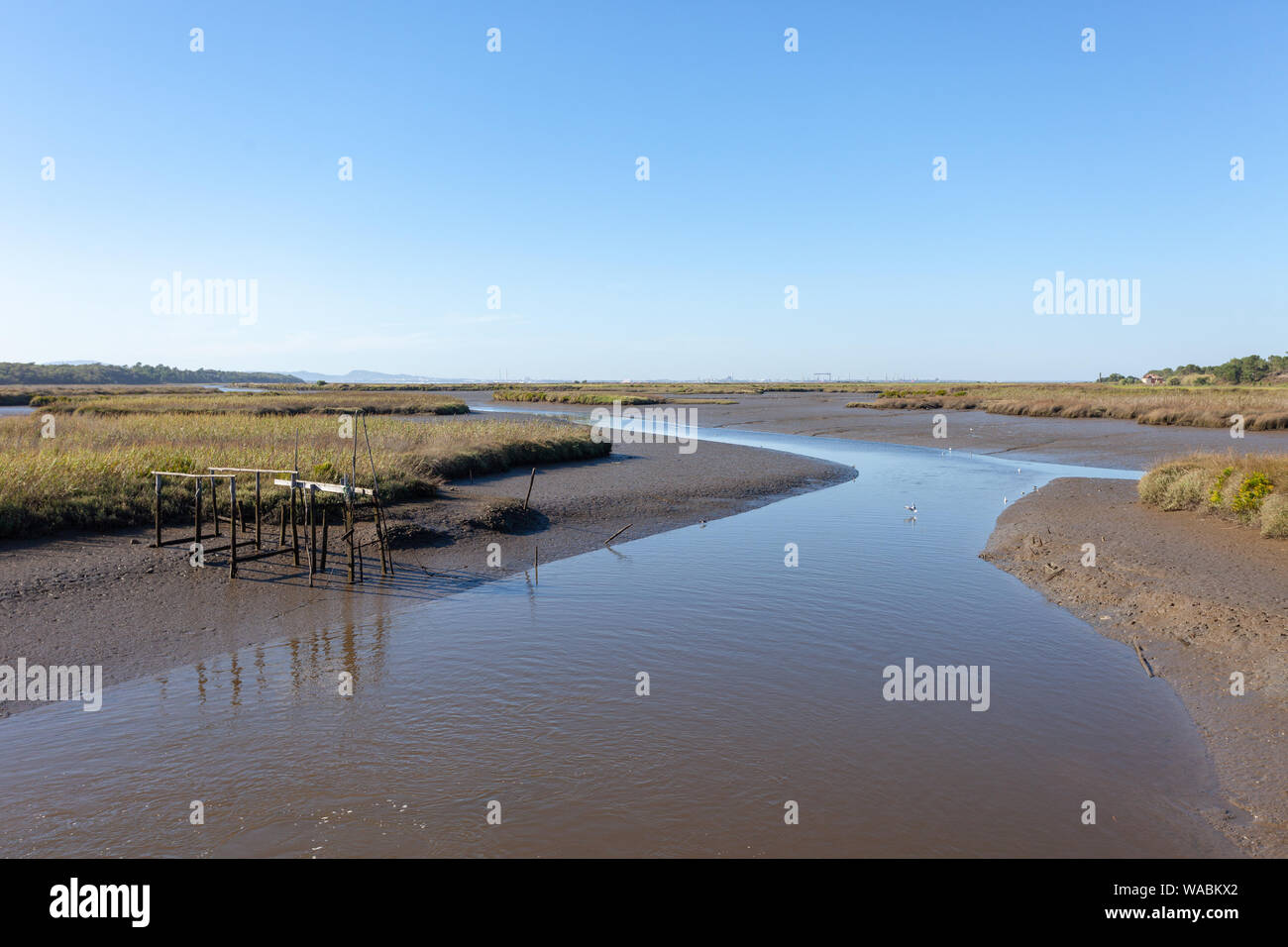 Campi di riso nella regione di Alentejo, Portogallo Foto Stock