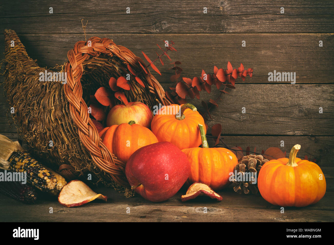 Ringraziamento cornucopia riempito con zucche e mele contro un rustico sfondo di legno Foto Stock