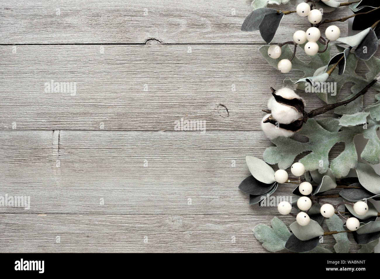 Bordo laterale di argento verde foglie e bacche di colore bianco su un rustico di legno grigio Sfondo. Vista da sopra con copia spazio. Foto Stock