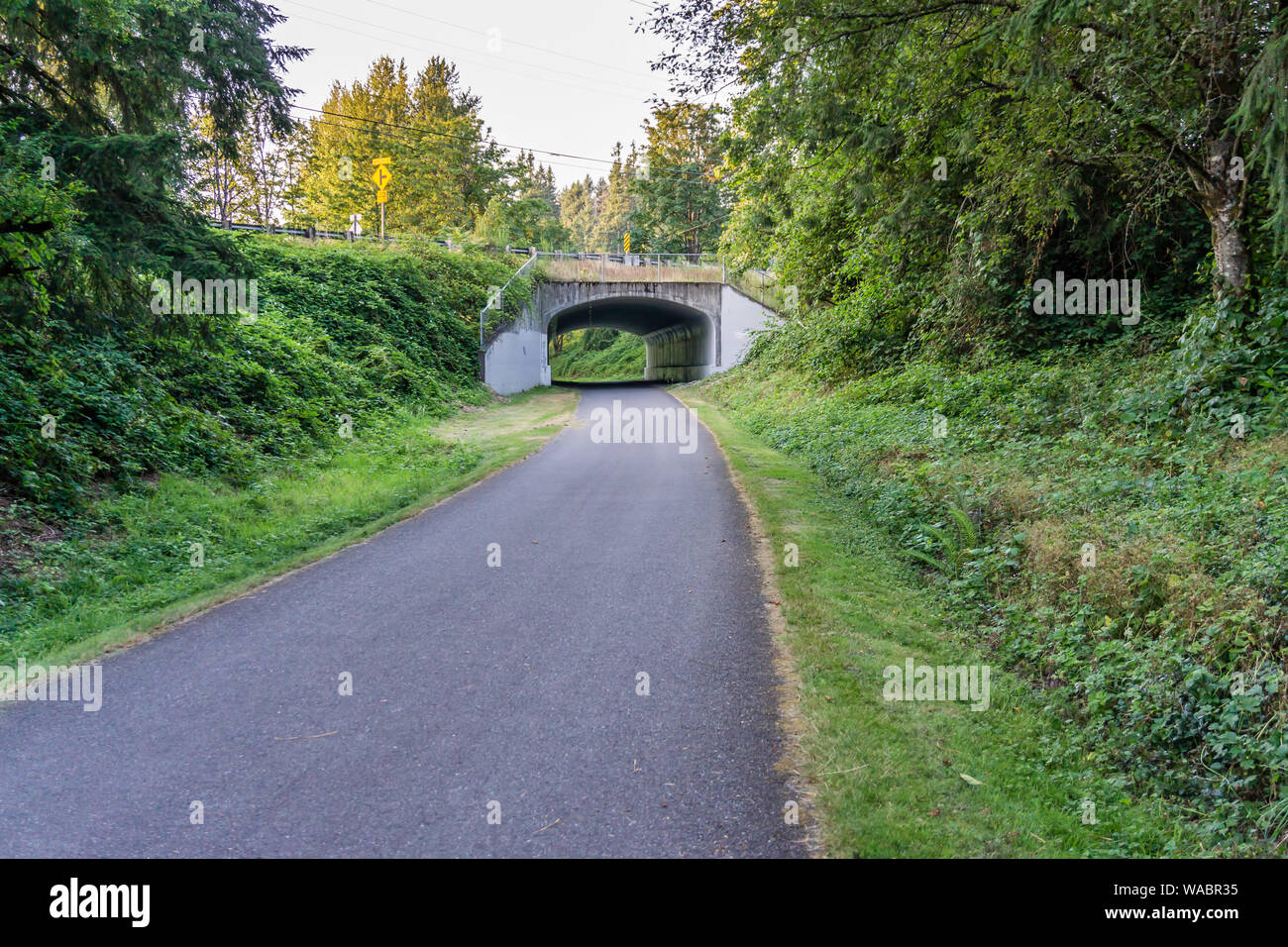 Un veiw di un tunnel lungo il fiume Cedar trail nella valle di acero, Washington. Foto Stock