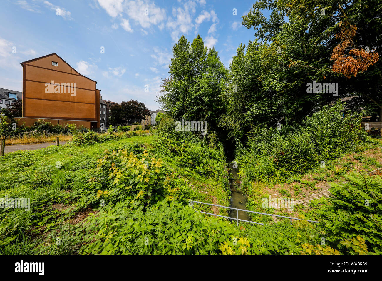 Herne, la zona della Ruhr, Renania settentrionale-Vestfalia, Germania - Dorneburger Muehlenbach, prima la rinaturazione qui ancora aperto, sopra la superficie del suolo di acque reflue chan Foto Stock