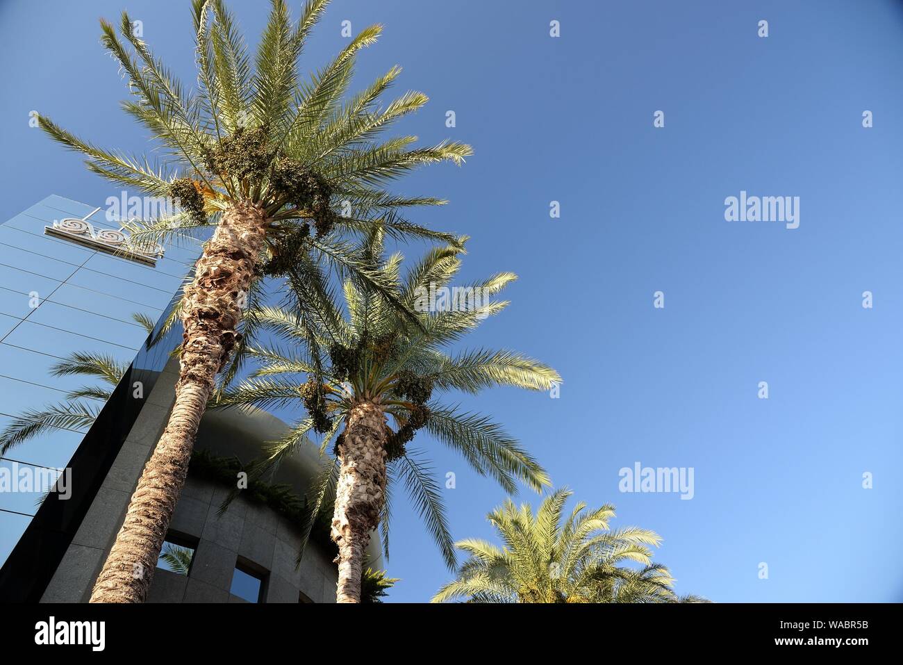 La parte anteriore dell'edificio dell'Pancretan banca cooperativa ( logo visibile) a Heraklion, Creta, Grecia. Foto Stock