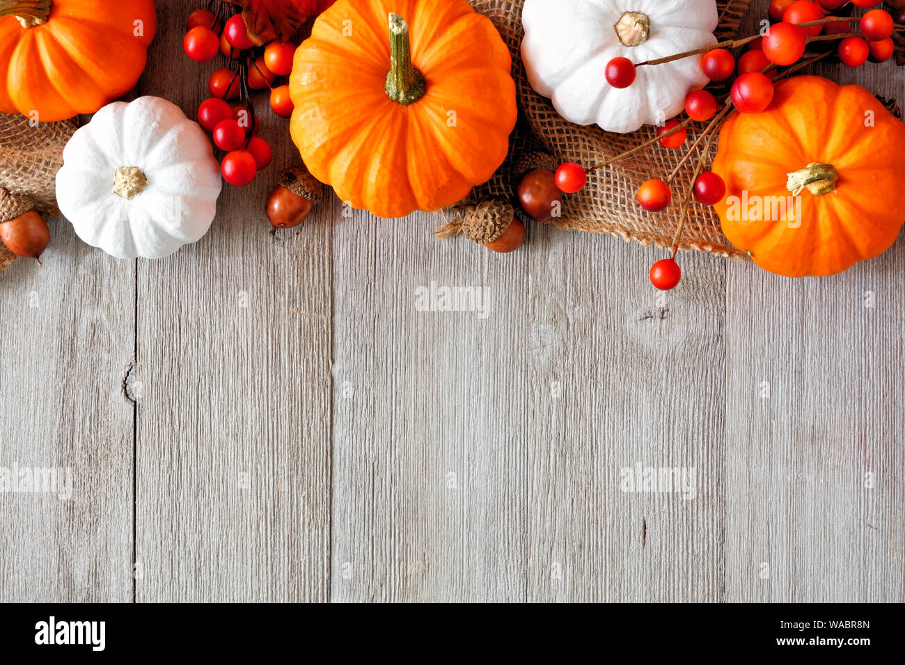 Autunno del bordo superiore di colore arancione e bianco zucche e bacche su un grigio chiaro sfondo legno con spazio di copia Foto Stock