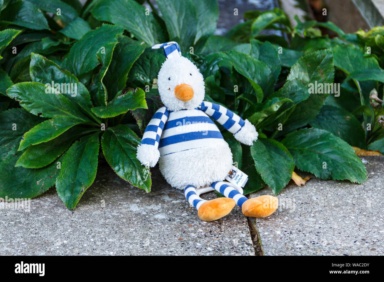 Un triste-cercando perso il giocattolo, seduto su un giardino parete su una strada residenziale, London, Regno Unito Foto Stock
