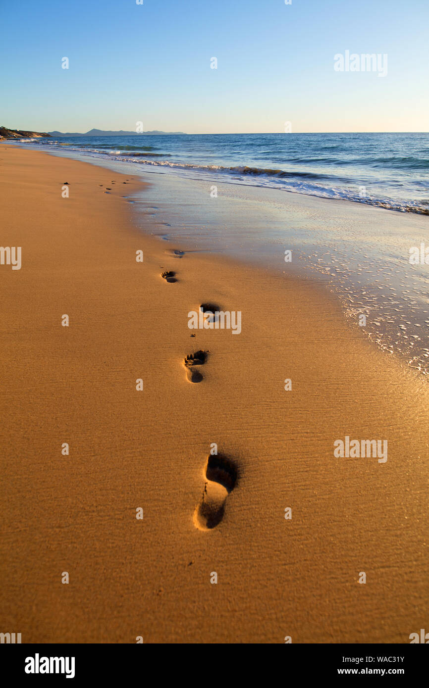 Footprints, spiaggia sabbiosa, Fuerteventura, Jandia Foto Stock