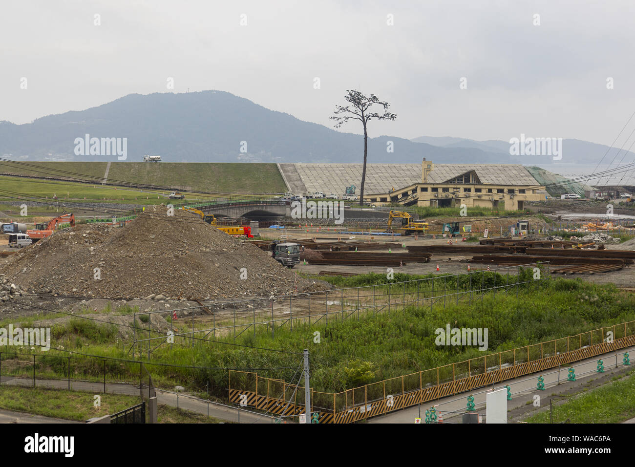 Rikuzentakata, Giappone. 19 Ago, 2019. Il miracolo di alberi di pino, superstite del 2011 Tsunami è visto a Takata-Matsubara Memorial Park per il disastro dello tsunami che è in costruzione. Il memorial park è costruito dal governo del Giappone e il governo della prefettura di Iwate per ricordare le vittime del terremoto del 2011, e come un simbolo di forte volontà per la ricostruzione. Il parco sarà aperto il suo nuovo Grande Oriente Giappone museo dello Tsunami del 22 settembre 2019, e la sua completa di servizi all'inizio del 2021. ''Tohoku Media Tour: Corso di Iwate'' è organizzata dal Governo Metropolitano di Tokyo Foto Stock