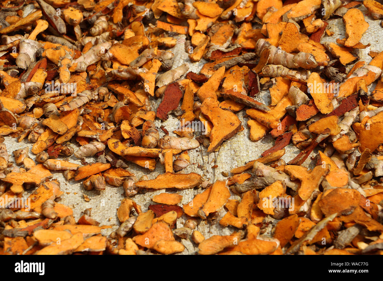 Indurito di fresco ed essiccato curcuma in Nepal Kathmandu Foto Stock