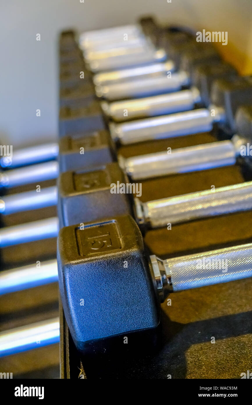 Manubri in rack Peso Foto Stock