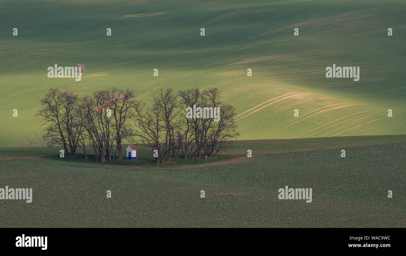 La molla nel paese - una piccola cappella rurale annidata tra pochi alberi sterili, tutto questo in un paesaggio ondulato con verdi campi e prati. Bassa sun Foto Stock