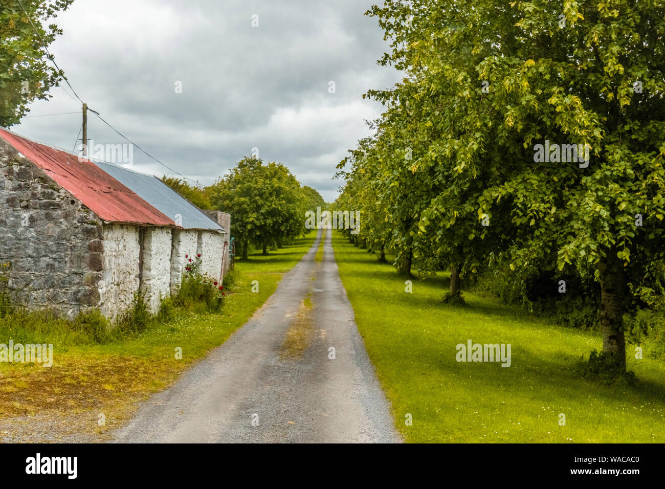 County road in Irlanda occidentale Foto Stock