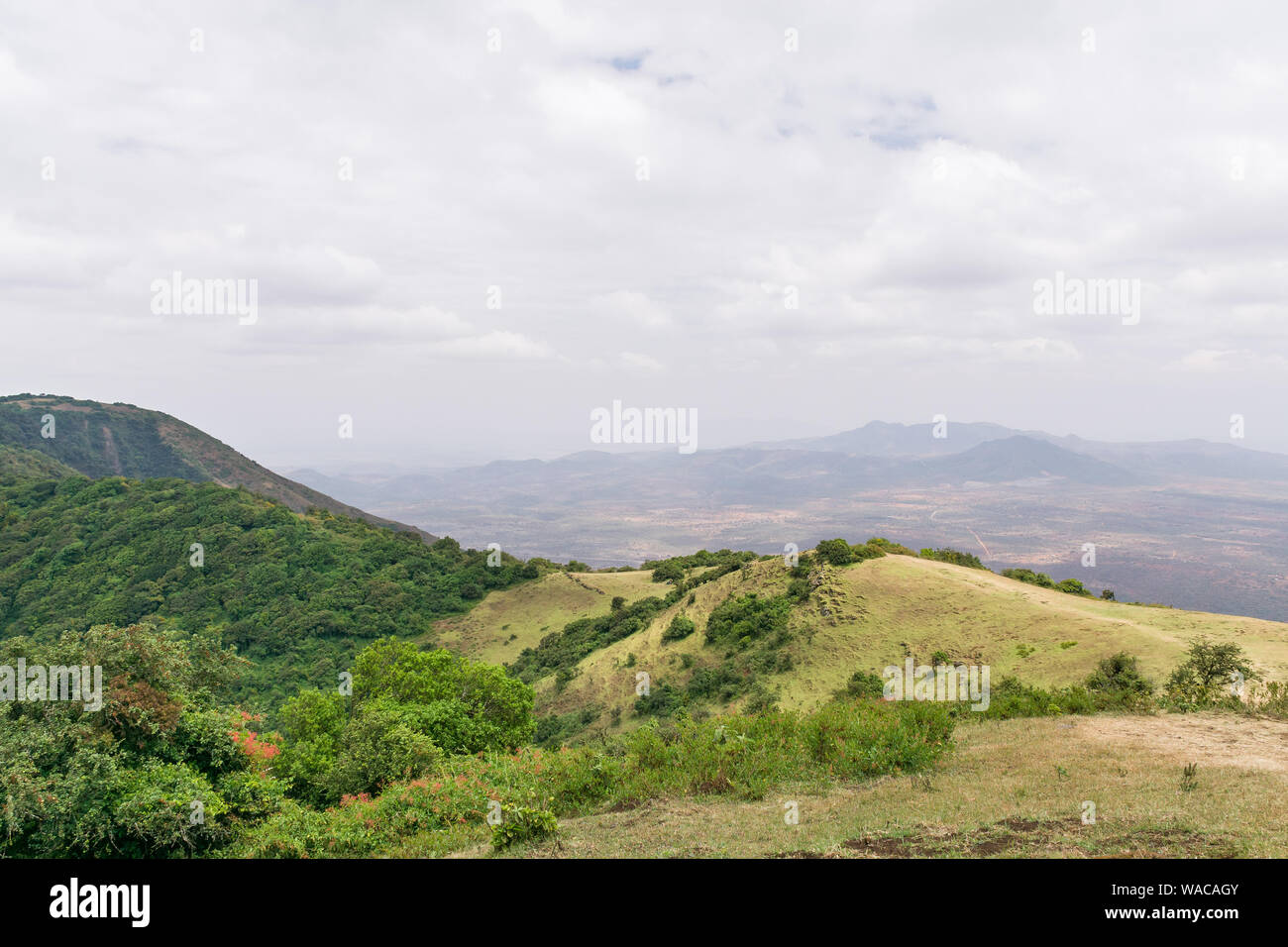 Ngong Hills Riserva Naturale con sentieri per passeggiate, Kenya Foto Stock