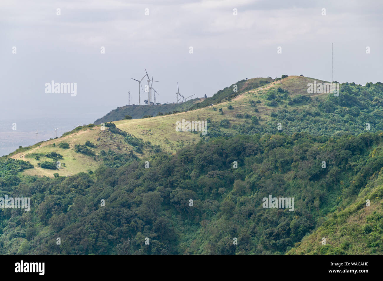 Ngong Hills Riserva Naturale con sentieri escursionistici e impianto eolico turbine in background, Kenya Foto Stock