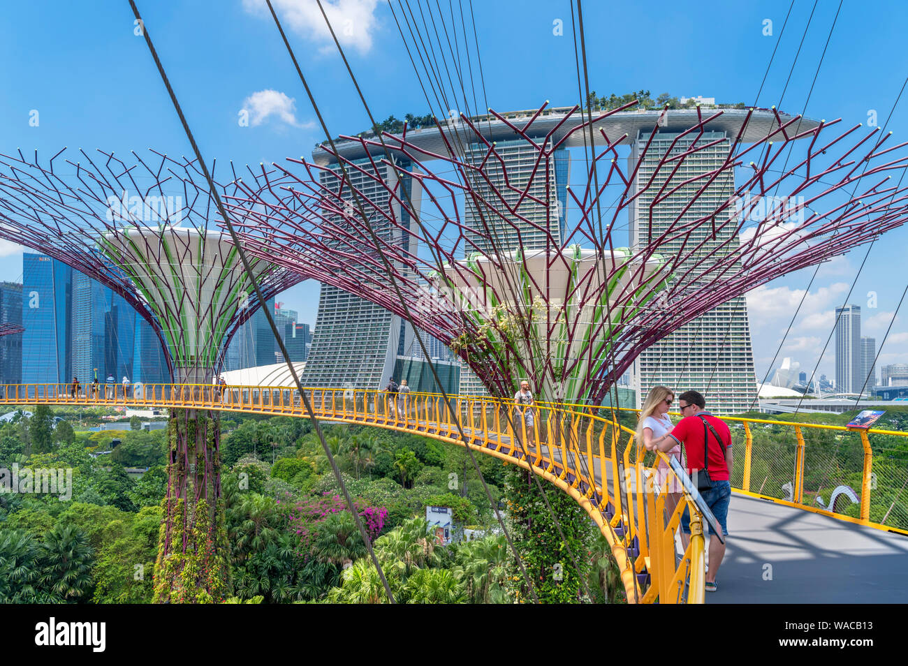 La OCBC Skyway, una passerella aerea nel Supertree Grove, guardando verso la Marina Bay Sands, giardini dalla baia, città di Singapore, Singapore Foto Stock