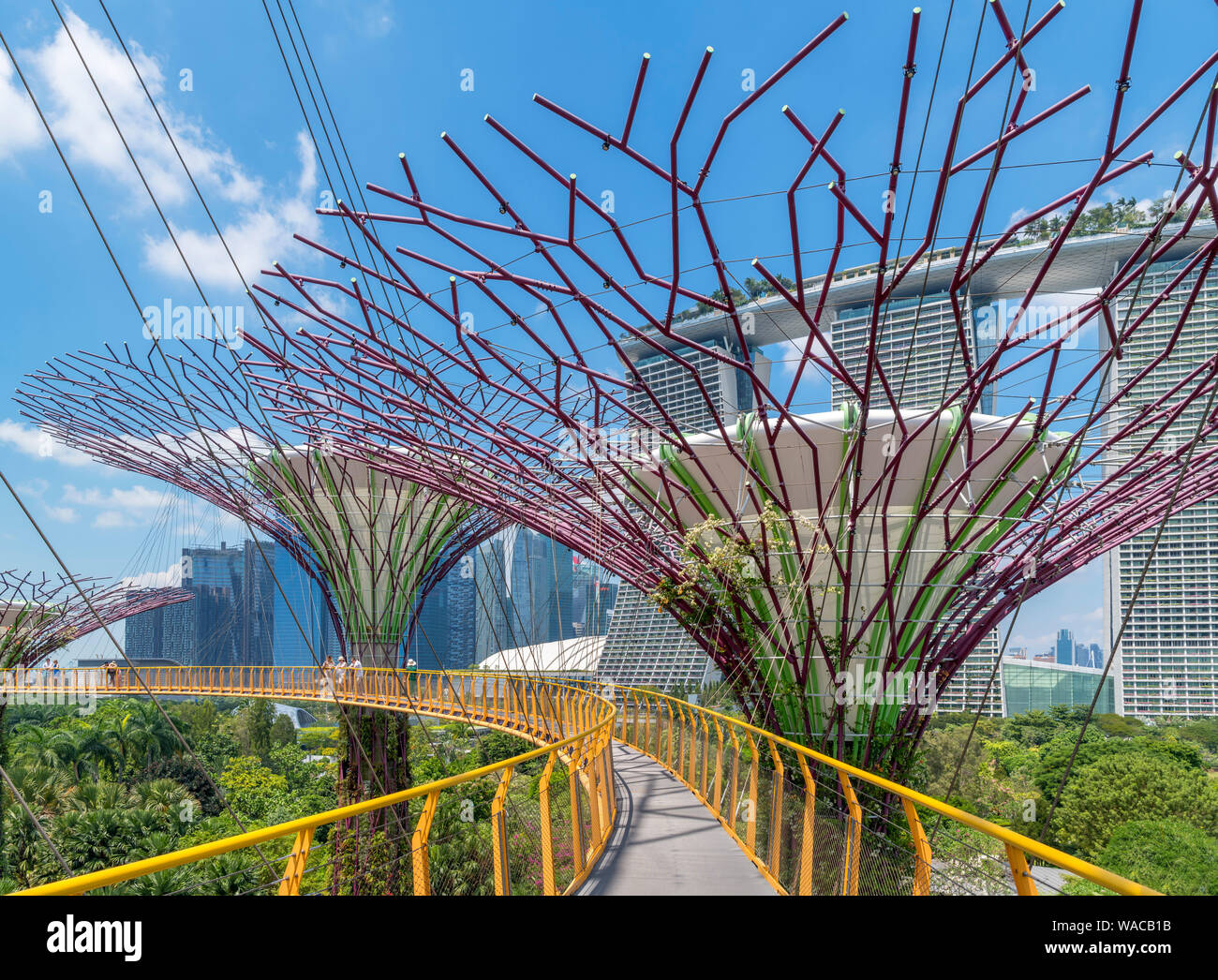La OCBC Skyway, una passerella aerea nel Supertree Grove, guardando verso la Marina Bay Sands, giardini dalla baia, città di Singapore, Singapore Foto Stock