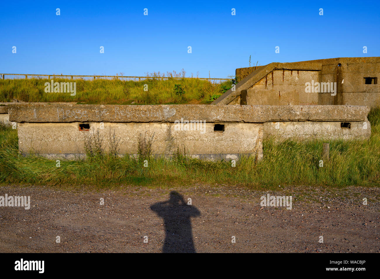 Il tempo di guerra in calcestruzzo batteria a pistola Foto Stock