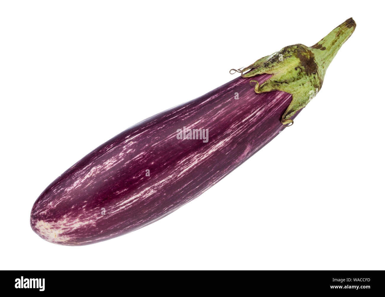 Mature fresca a strisce lunghe melanzane viola intaglio su sfondo bianco  Foto stock - Alamy