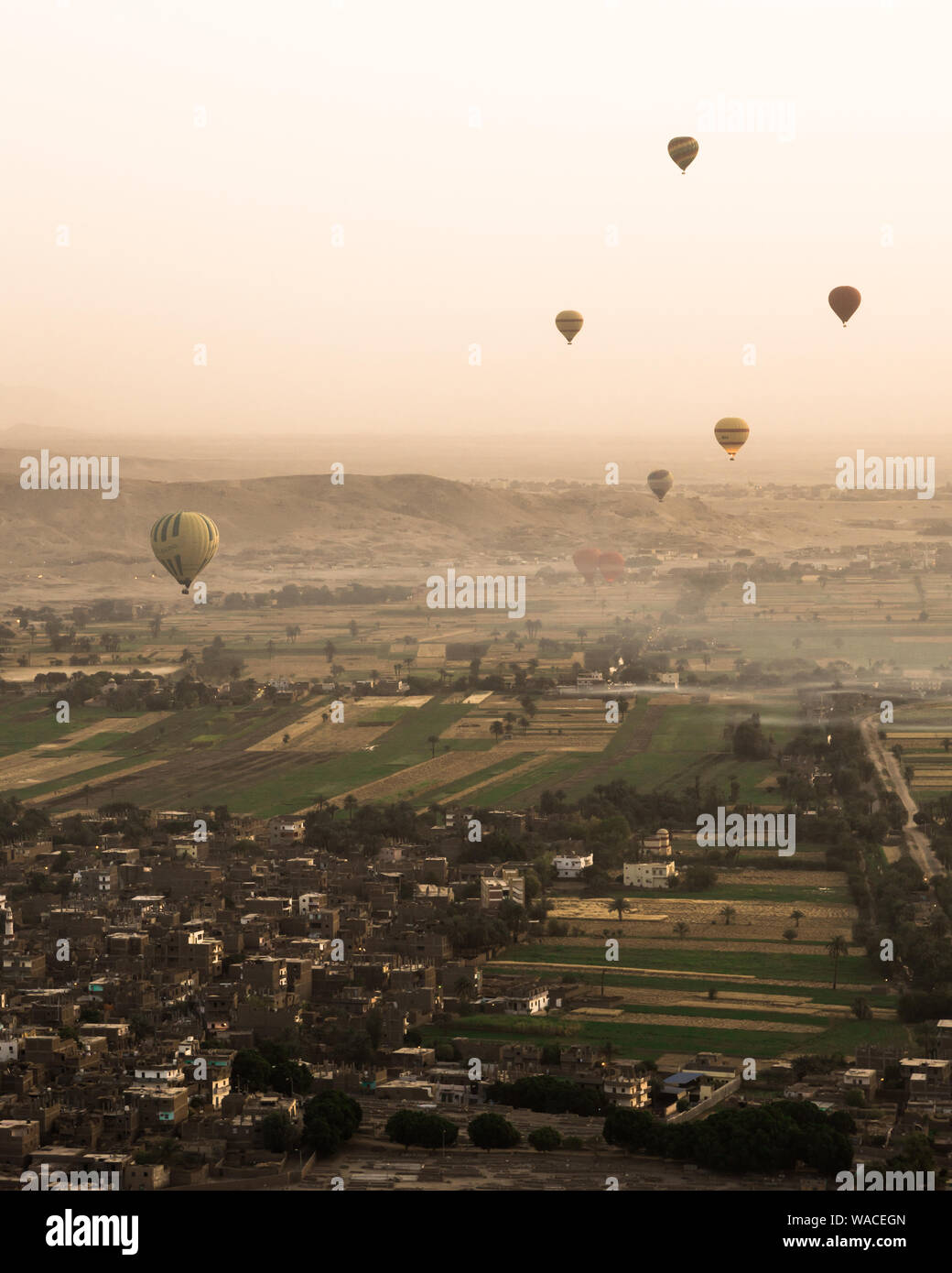 Mongolfiera ride in Luxor Egitto per alba sopra il fiume Nilo e i verdi campi Foto Stock