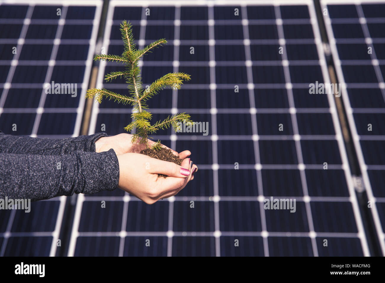 Salvataggio di natura utilizzando verde energia solare concetto. E accidentalmente anche divertente illusione ottica concetto, punti di sfarfallio, cambiando i posti sulla backg Foto Stock