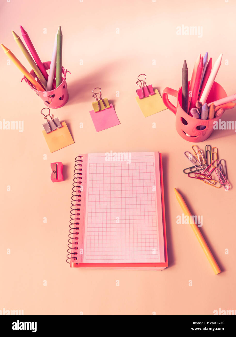 Immagine di rosa con un notebook bianco e materiale scolastico Foto Stock