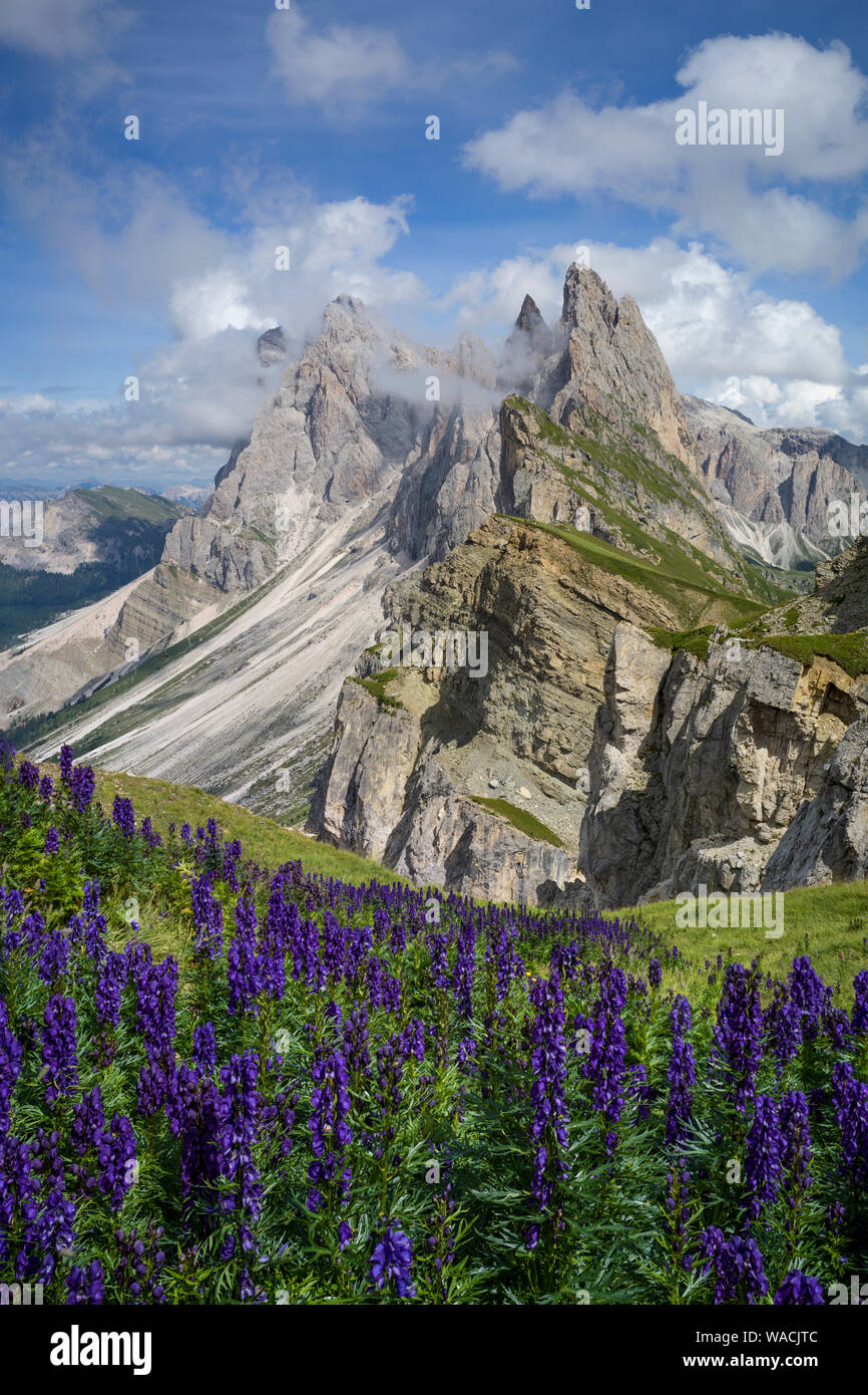 Panorama del Seceda gamma della montagna in Alto Adige parzialmente coperto di nuvole a giornata di sole Foto Stock