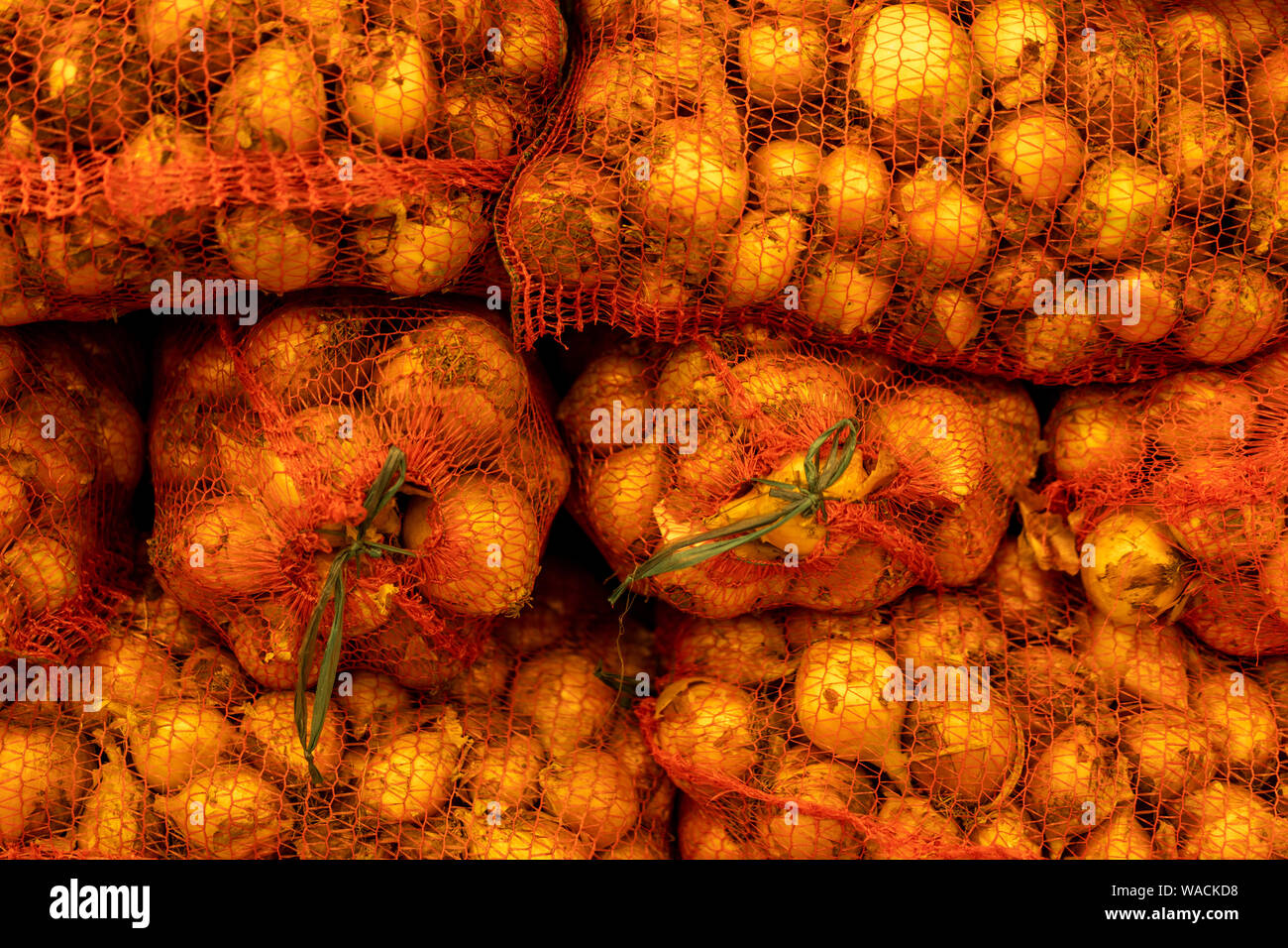 Rete di plastica Sacchi di semi di cipolla pronti per la semina in campo in una chiusura completa del telaio concettuale di vista di agricoltura e per la produzione di colture di ortaggi Foto Stock