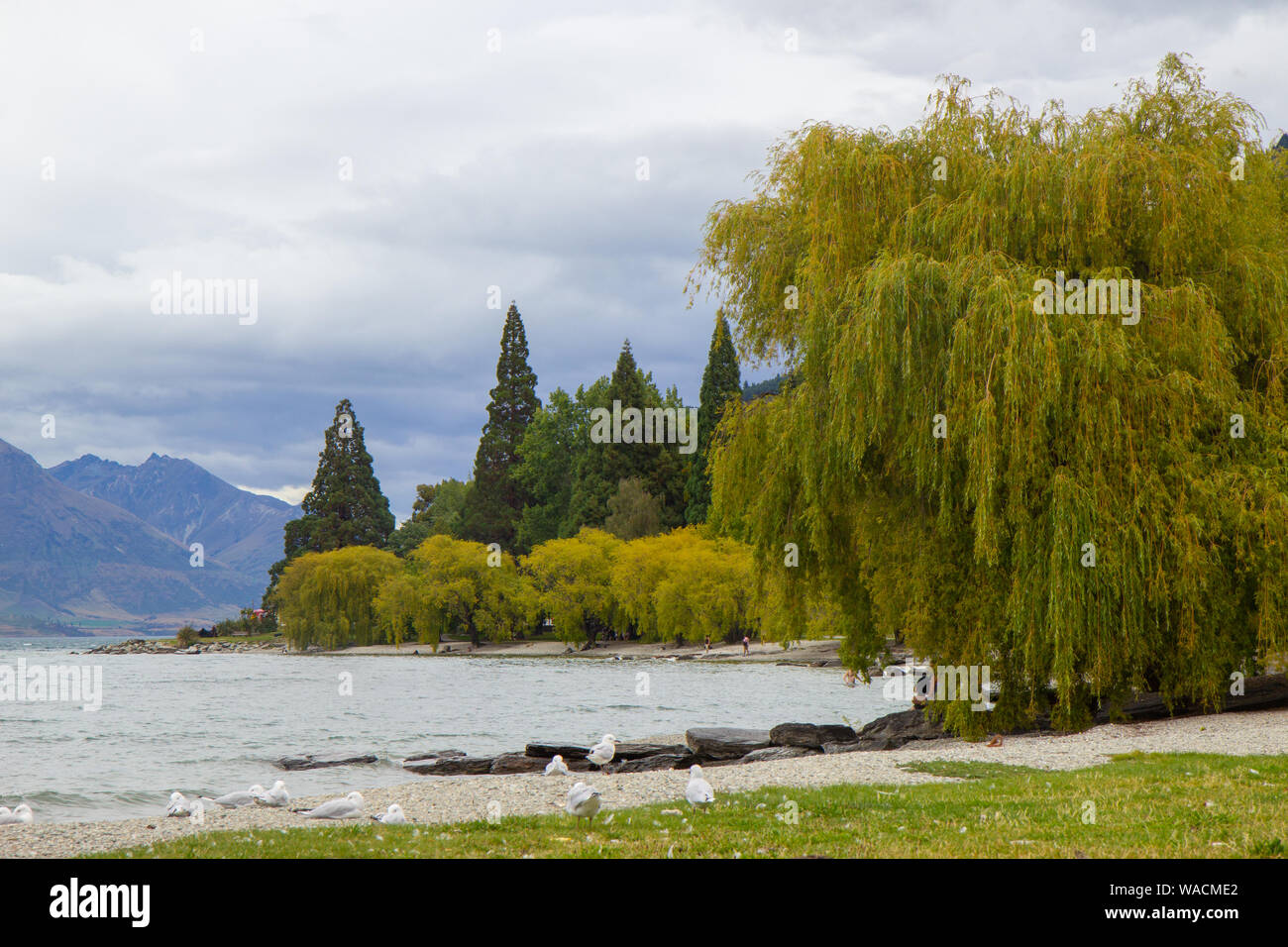 Lago di Wakatipu lago a Queenstown, Nuova Zelanda Foto Stock