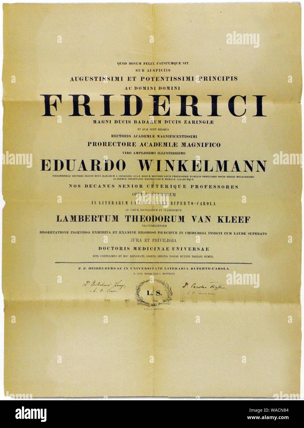Doctoraatsbul van L Th van Kleef, Ruprecht-Karls Universität Heidelberg (1880). Foto Stock
