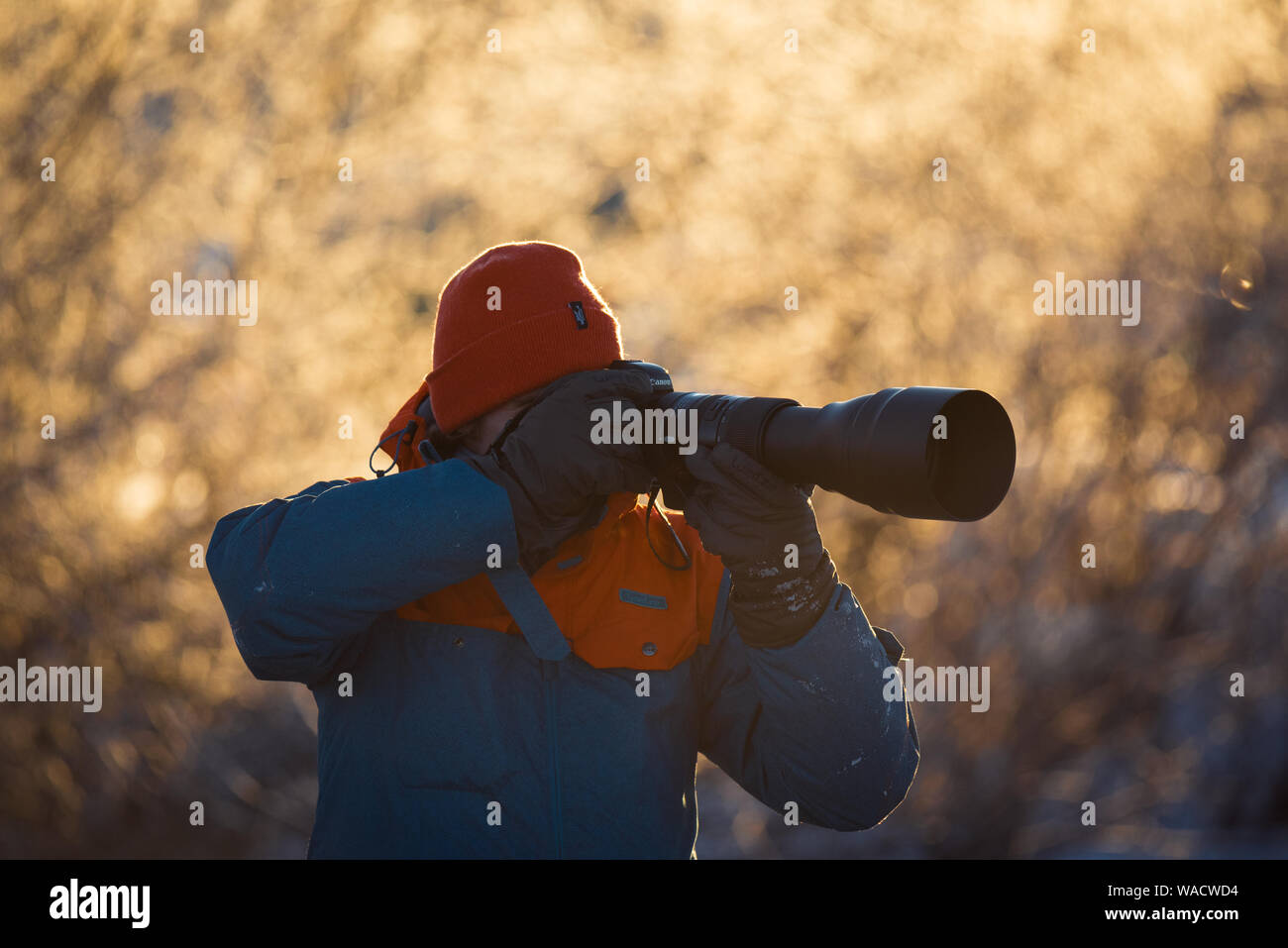 Lebedinyj Swan Riserva Naturale, Russia - 23 Febbraio 2019: un fotografo con una telecamera e un teleobiettivo germogli su un gelido inverno mattina Altai Foto Stock