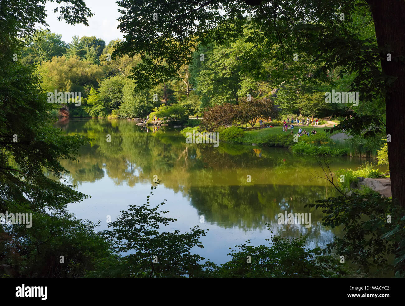 Central Park, Manhattan, NY Foto Stock