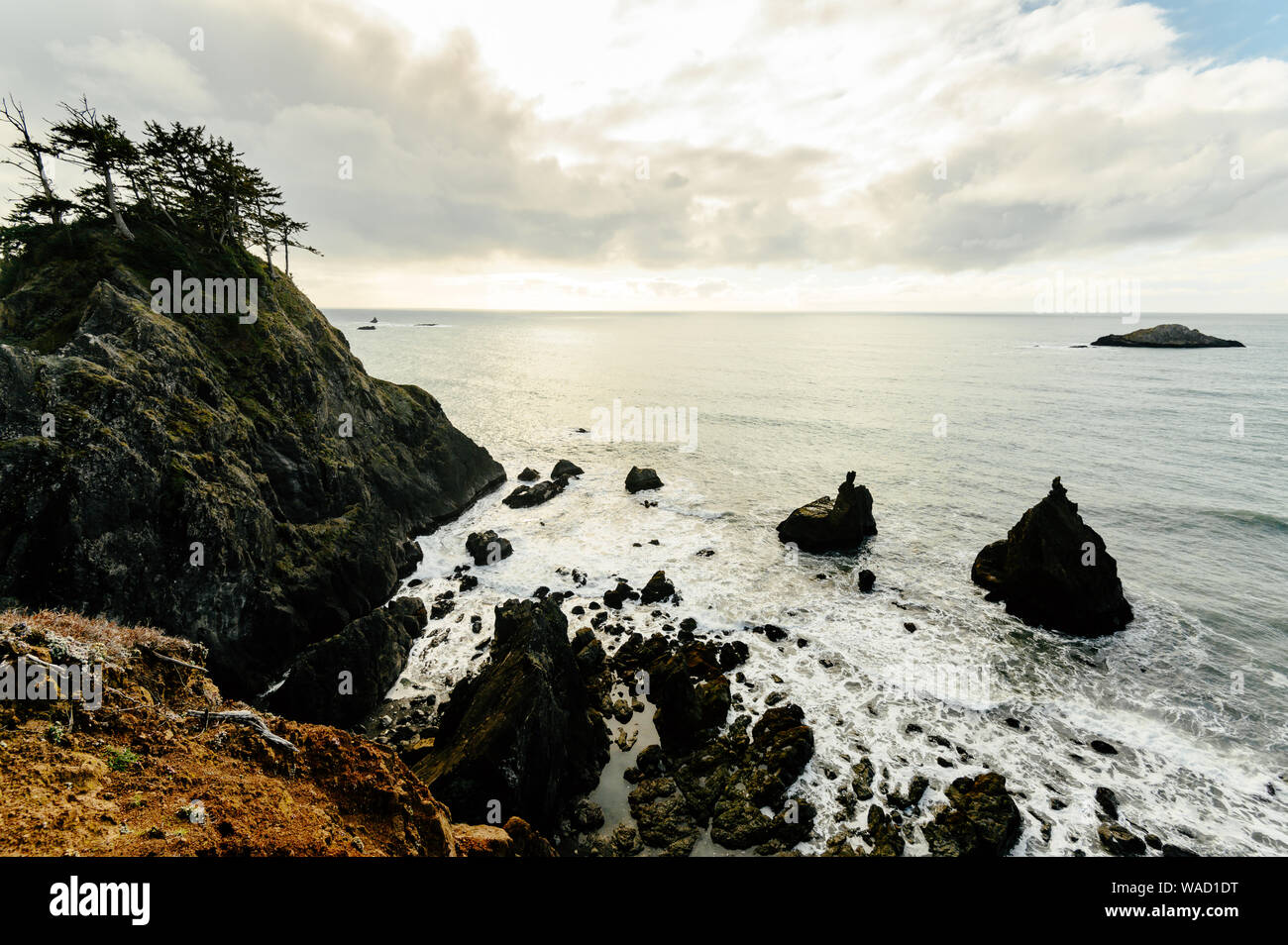 Immagine di pagliaio rocce lungo la costa dell'Oregon al tramonto Foto Stock
