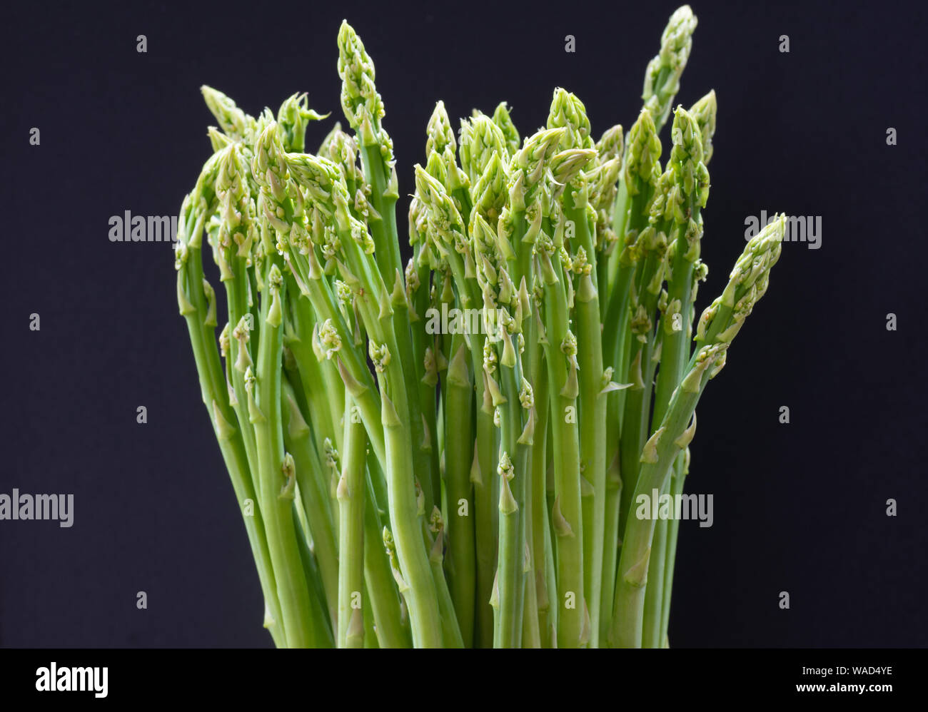 Freschi asparagi verdi isolati su sfondo nero Foto Stock