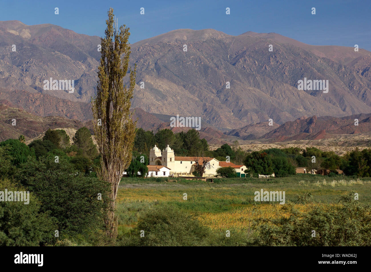 La Iglesia de San Pedro de Nolasco, Molinos, Valles Calchaquies, Salta, Argentina, Sud America Foto Stock