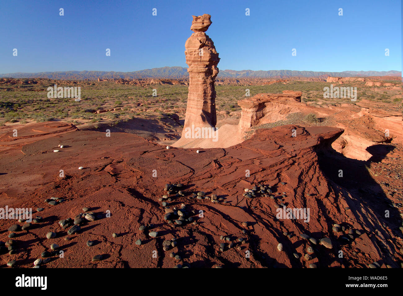 Sud America Argentina Argentina;; Andes; La Rioja, Villa Union, Parque Nacional Talampaya, acnyon, paesaggio, deserto, Cliff, aride, arenaria, nat Foto Stock