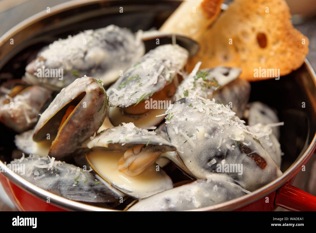 Cozze cotte con salsa cremosa e servita nella pentola di metallo, fondale focus Foto Stock
