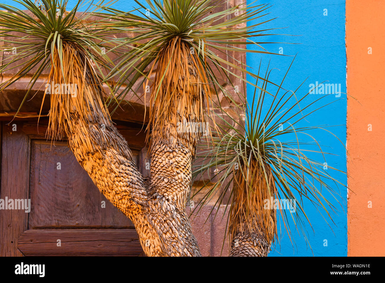 Facciata di una casa , San Miguel De Allende, Messico Foto Stock