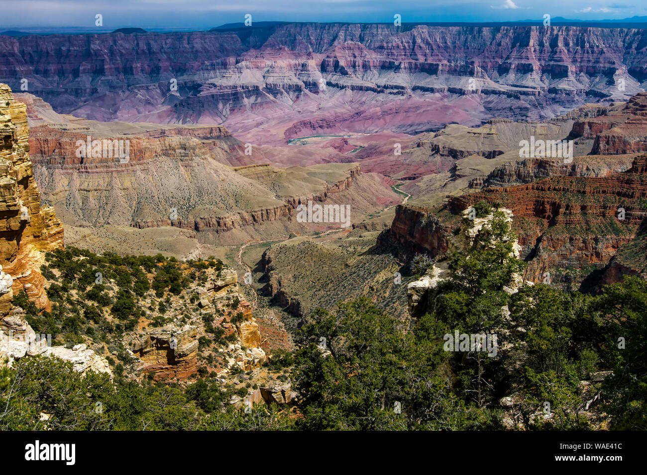 Vista dal bordo Nord del Fiume Colorado avvolgimento attraverso il Grand Canyon Foto Stock