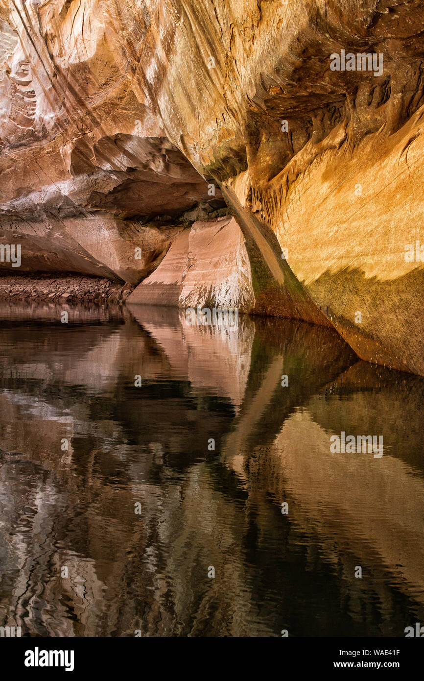 Le riflessioni di formazioni rocciose nella cattedrale nel deserto, ora in un invaso canyon nel Lago Powell. Foto Stock